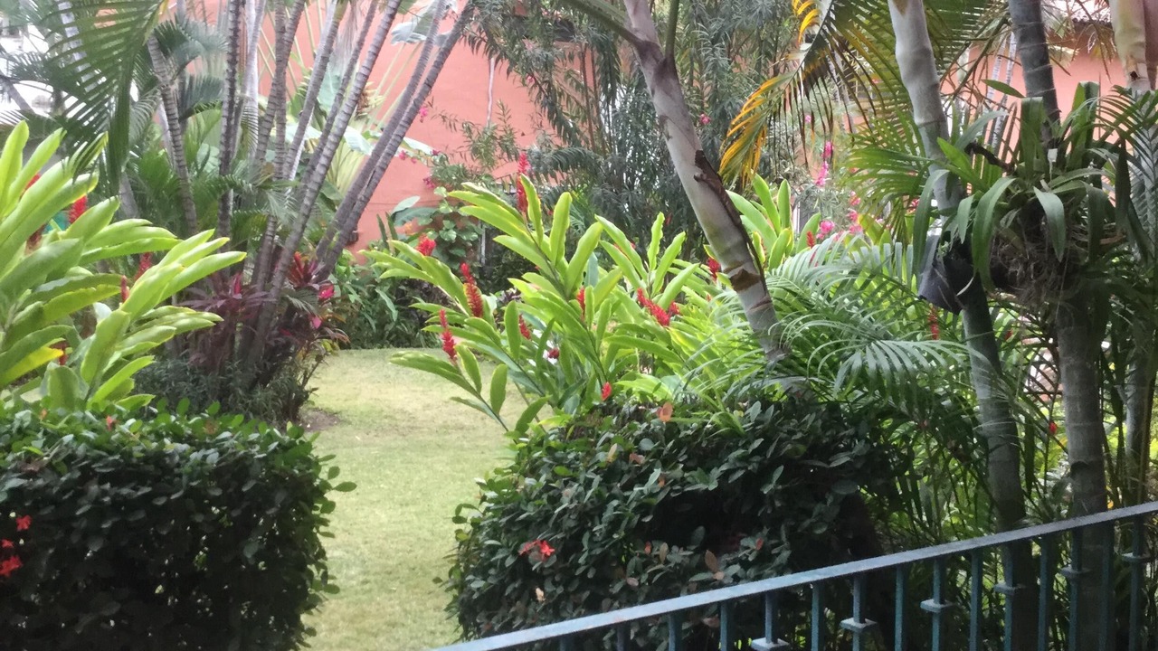 Photo of Patio Balcony in Marina Vallarta