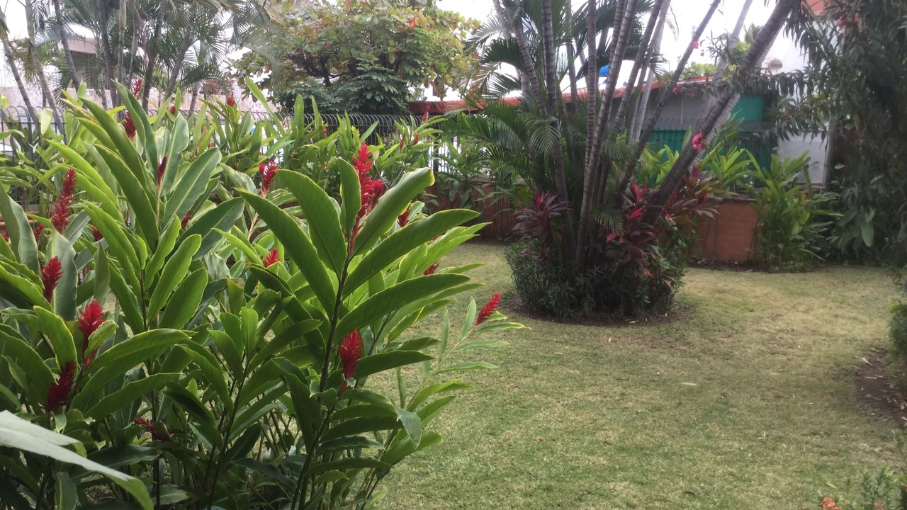 Photo of Patio Balcony in Marina Vallarta