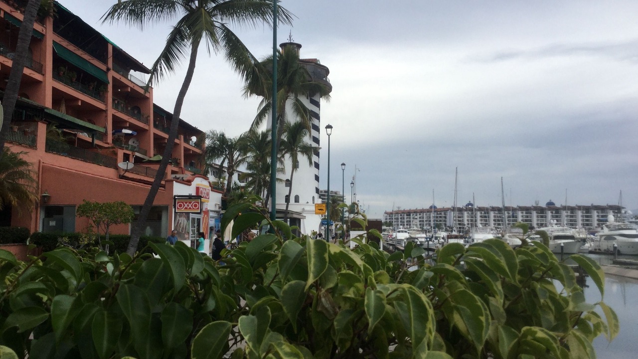 Photo of Others in Marina Vallarta