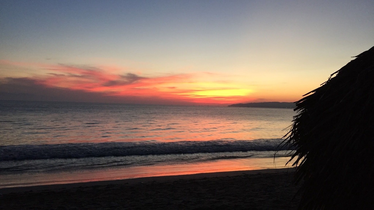 Photo of Others in Marina Vallarta