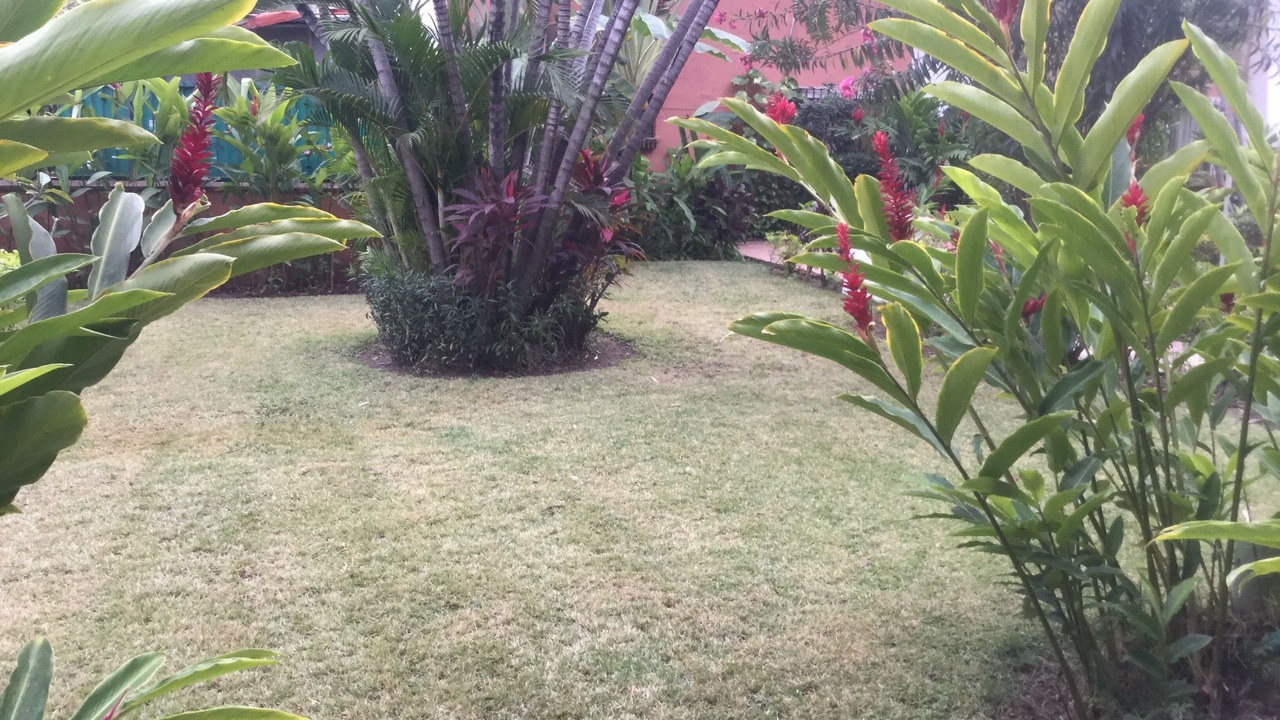 Photo of Outdoor in Marina Vallarta