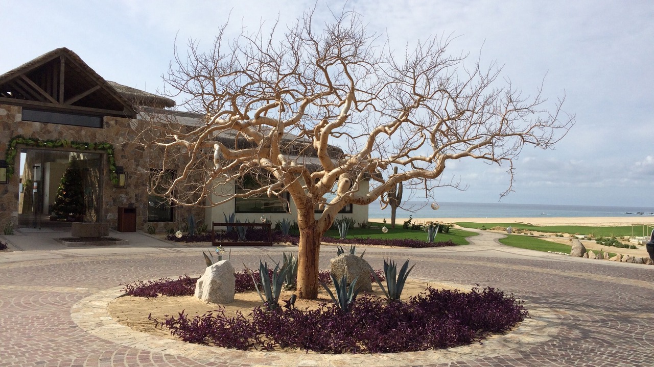 Photo of Outdoor in Pedregal