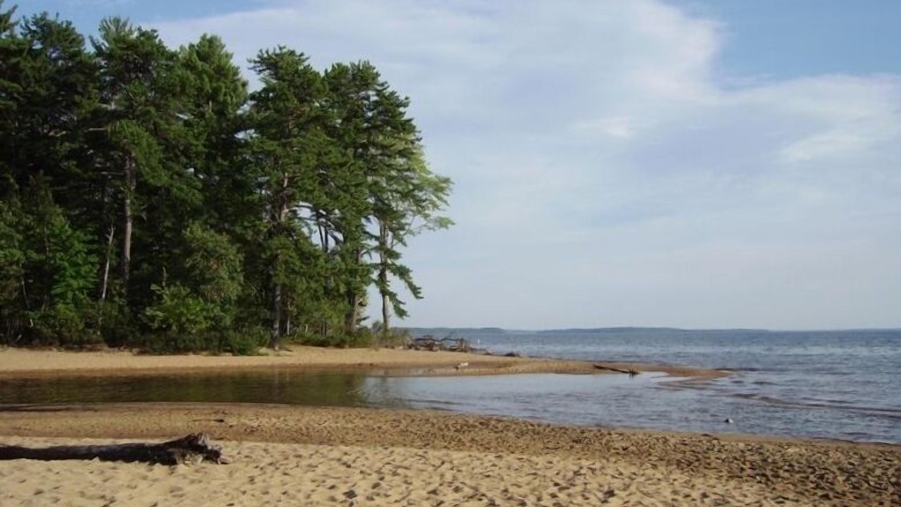 Photo of Outdoor in South Casco