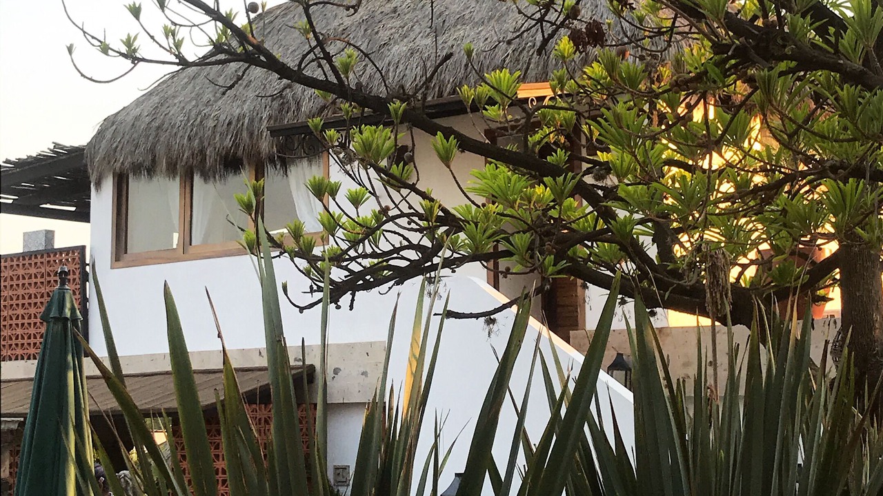 Photo of Outdoor in Ajijic