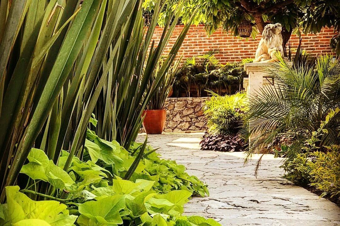 Photo of Outdoor in Ajijic