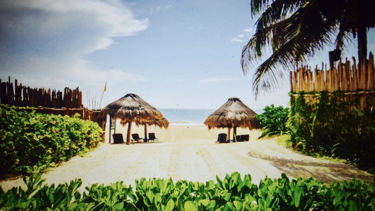 Photo of Others in Playa Paraiso