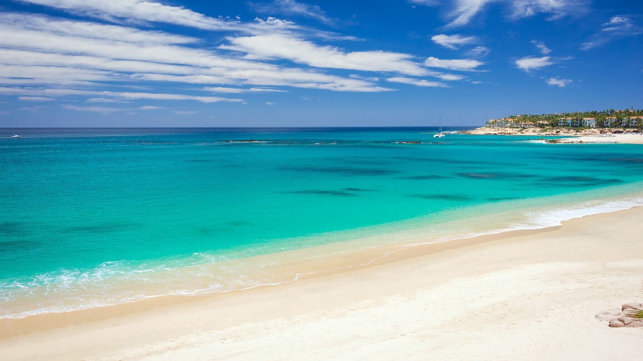 Photo of Others in Palmilla