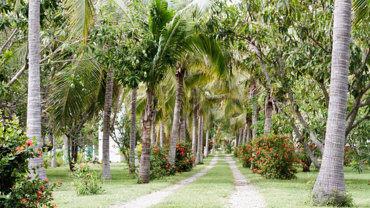 Photo of Outdoor in Acapulco