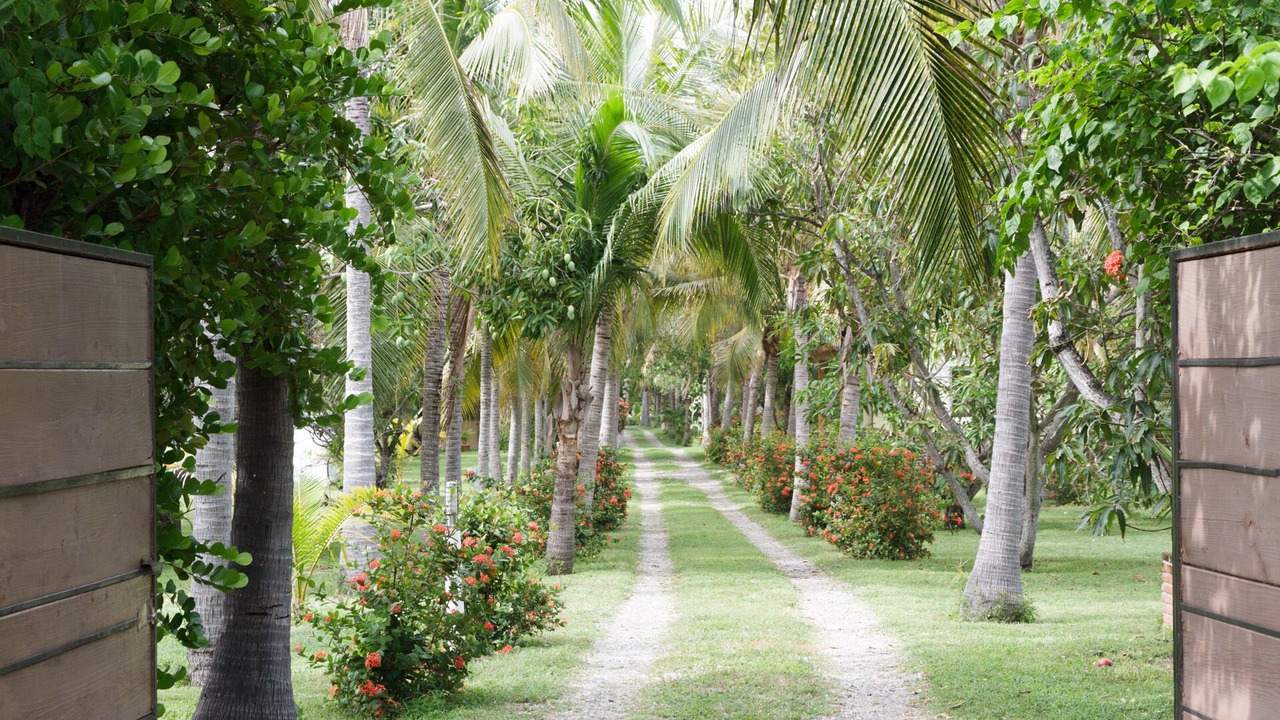 Photo of Outdoor in Acapulco