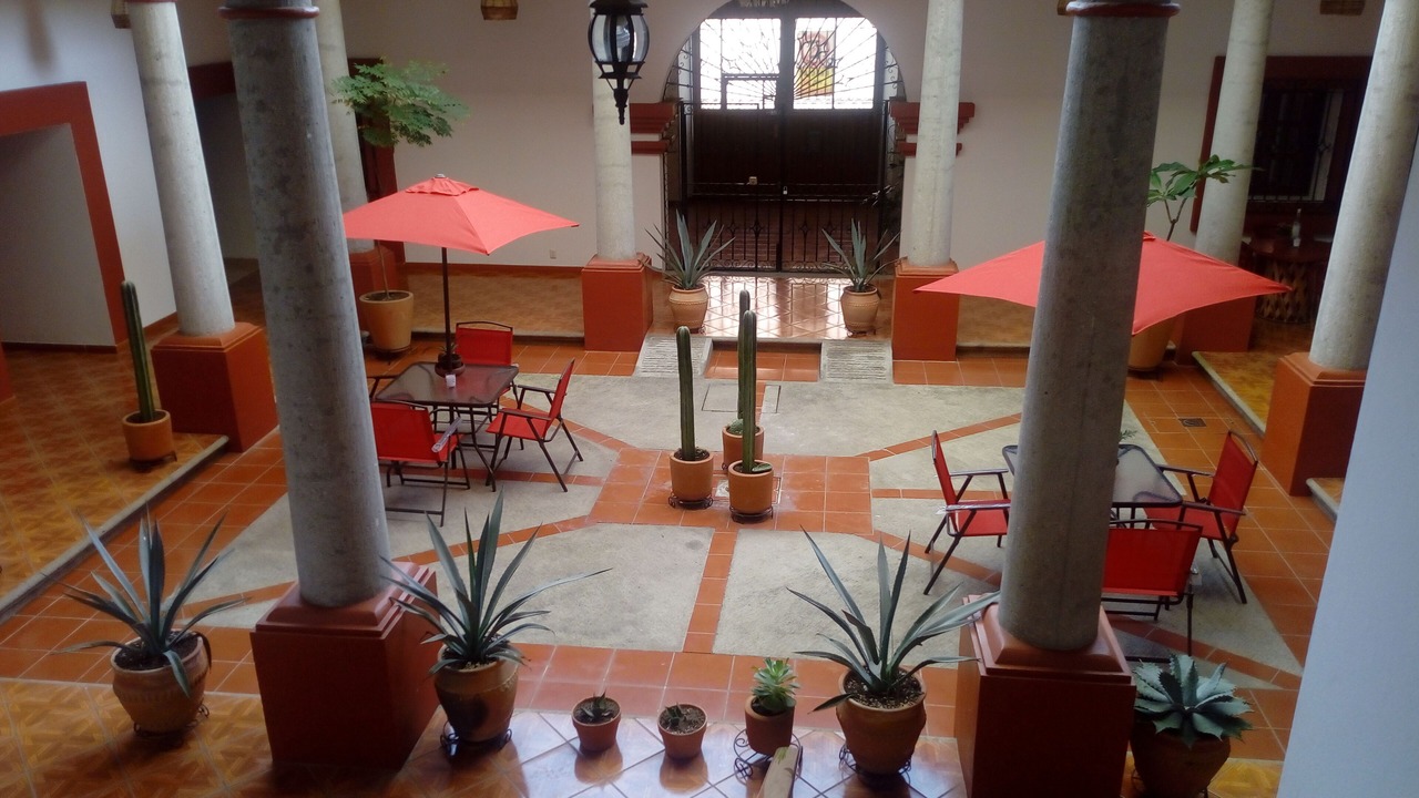 Photo of Others in Oaxaca