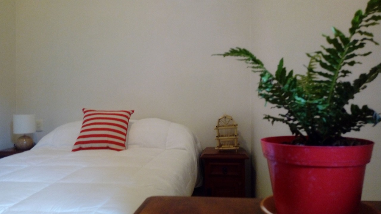 Photo of Bedroom in Oaxaca