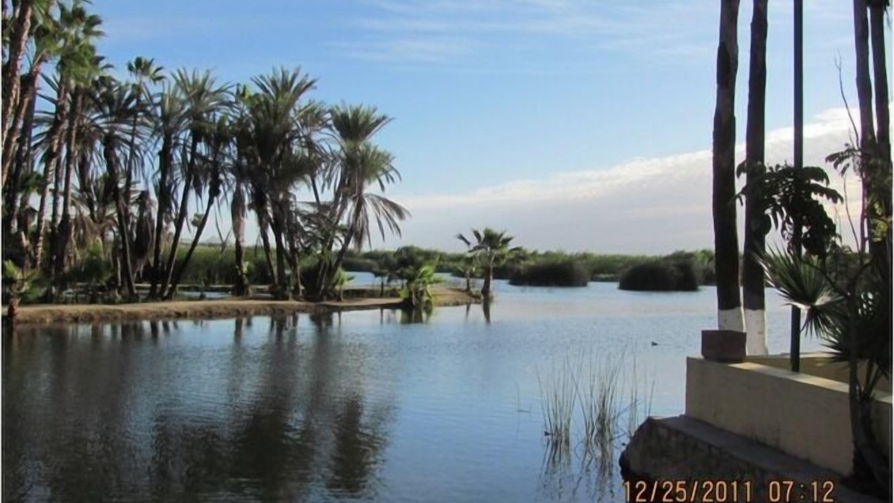 Photo of Others in Campo de Golf Fonatur