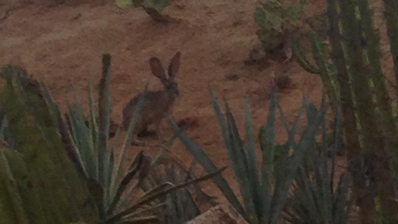 Photo of Outdoor in Paraiso Escondido