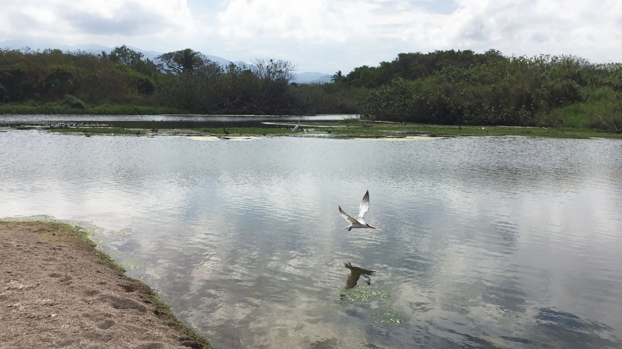 Photo of Others in Lo de Marcos