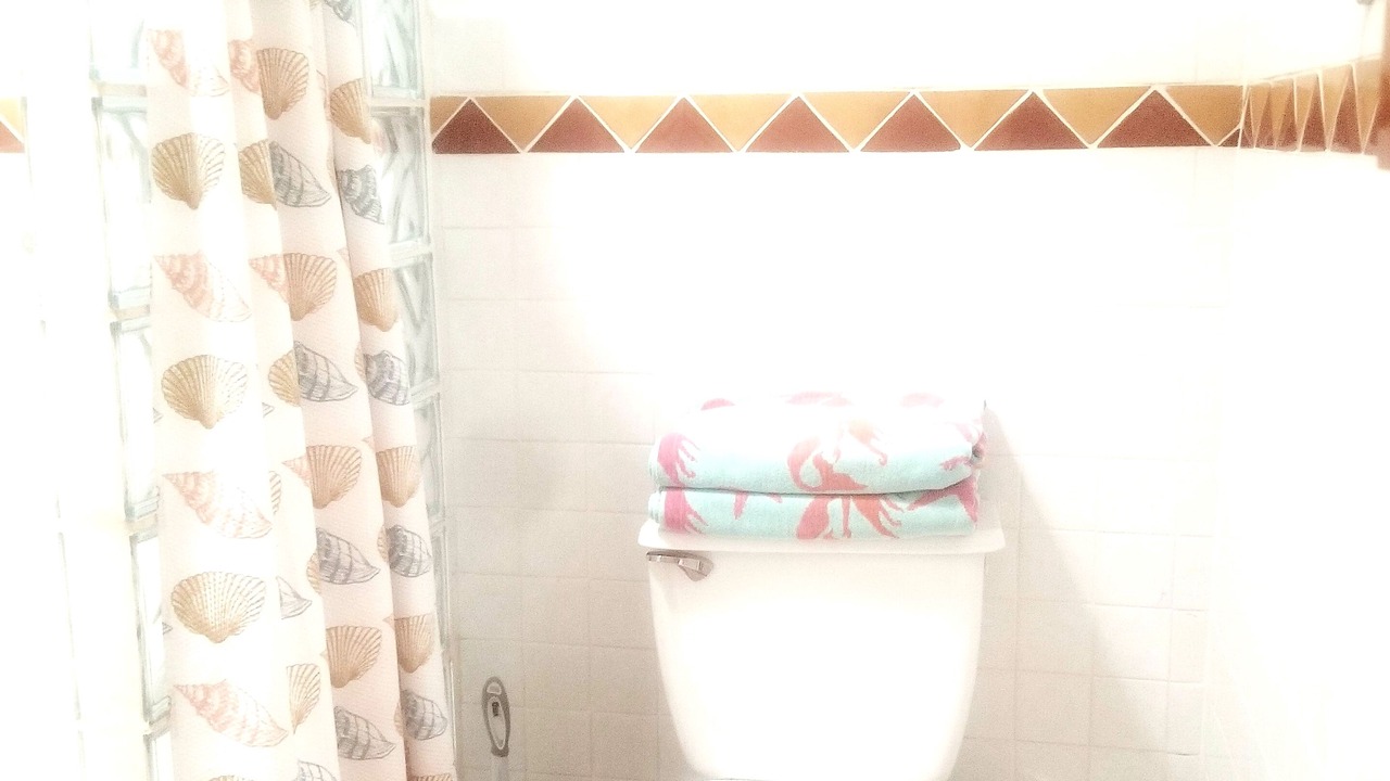 Photo of Bathroom in Luis Donaldo Colosio