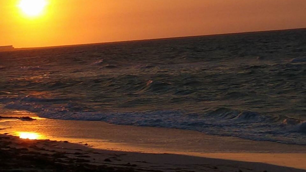 Photo of Others in Chicxulub Puerto