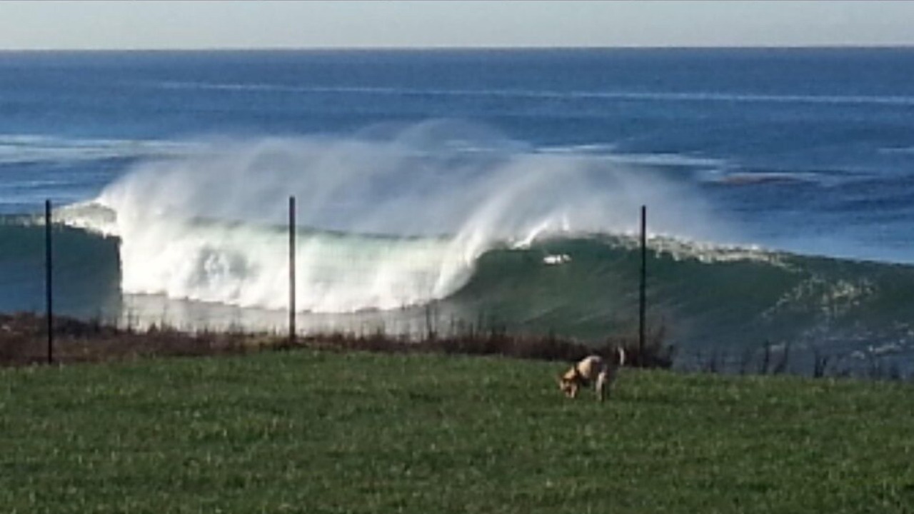 Photo of Others in Rosarito