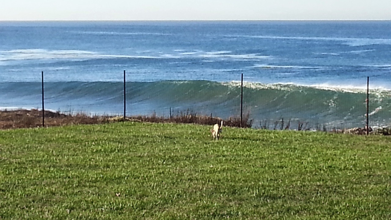 Photo of Others in Rosarito