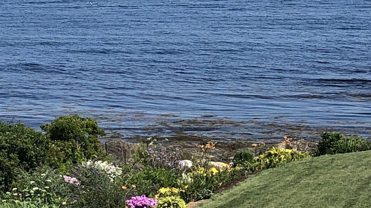 Photo of Outdoor in Mid-Coast and Islands