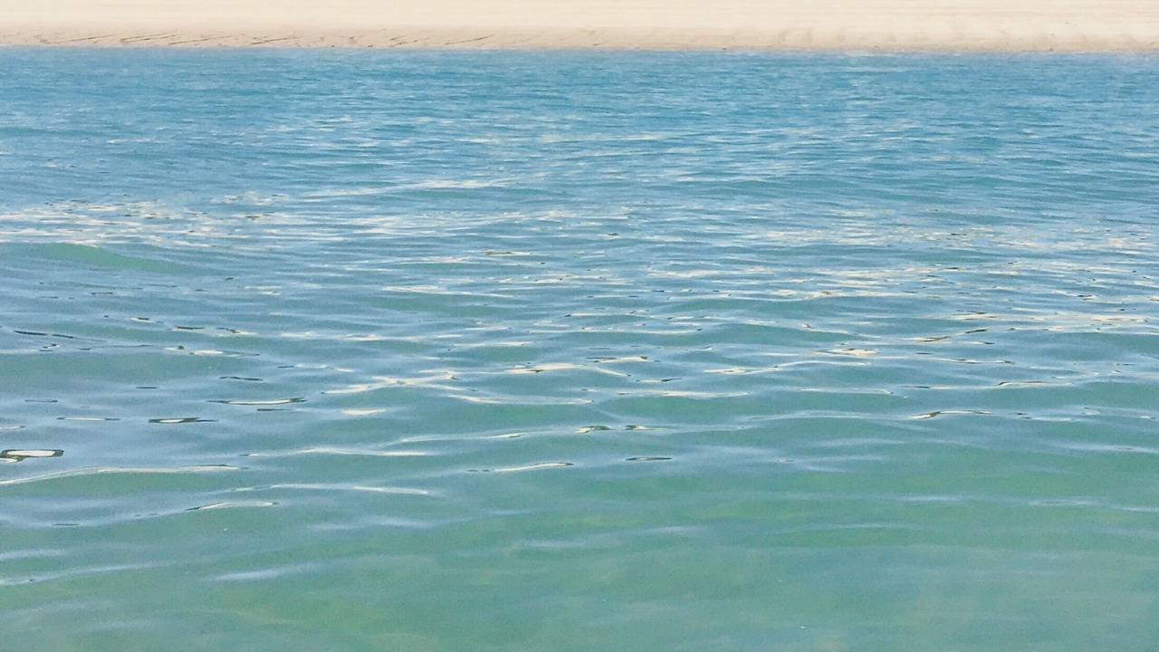Photo of Others in San Felipe