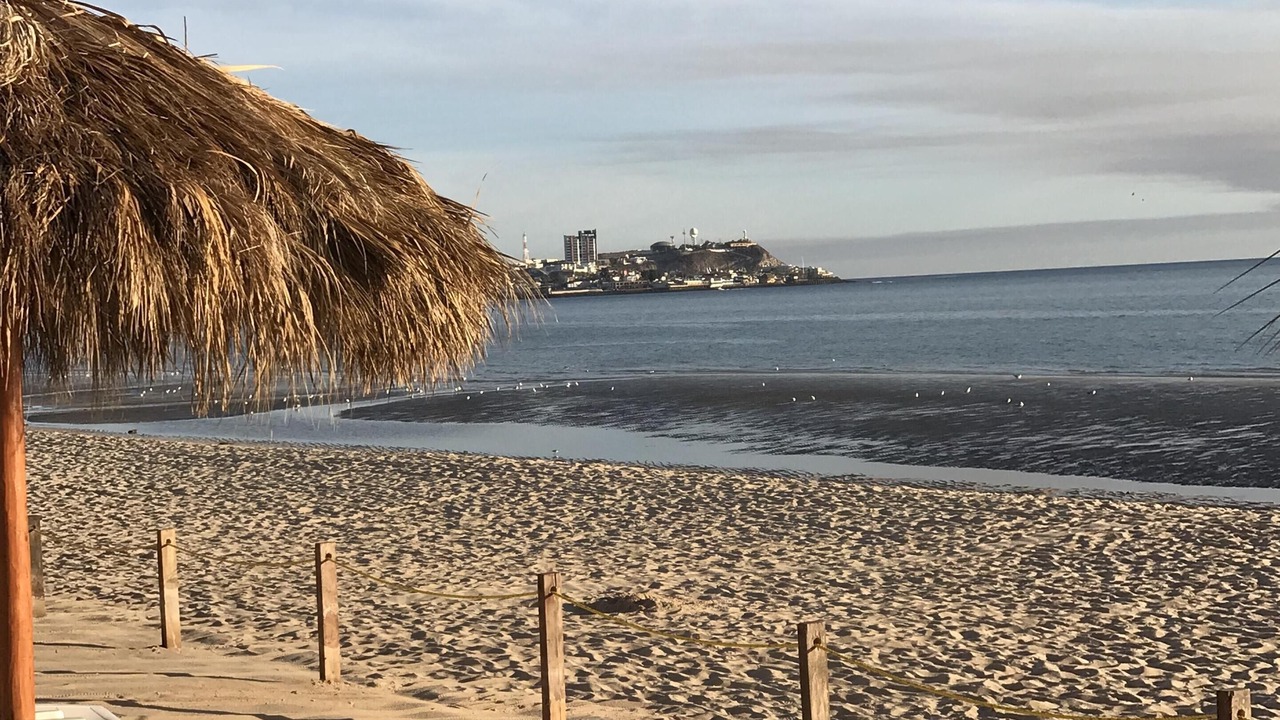 Photo of Others in Puerto Penasco