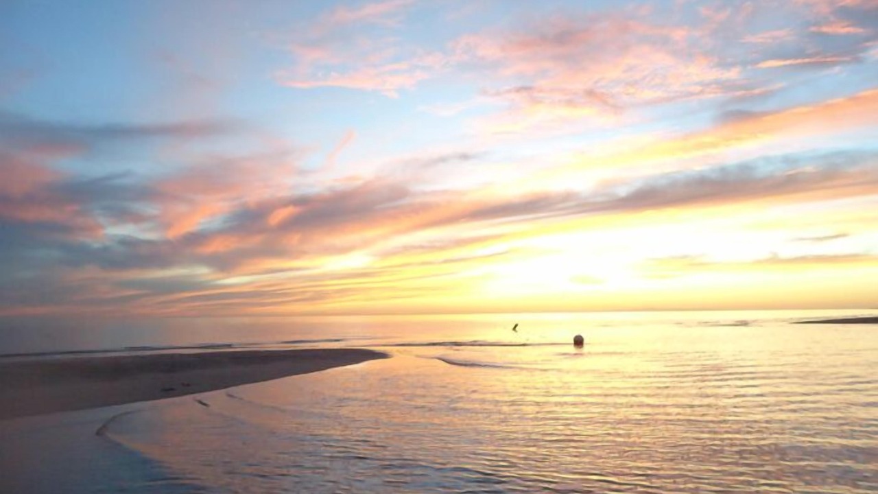 Photo of Others in Puerto Penasco