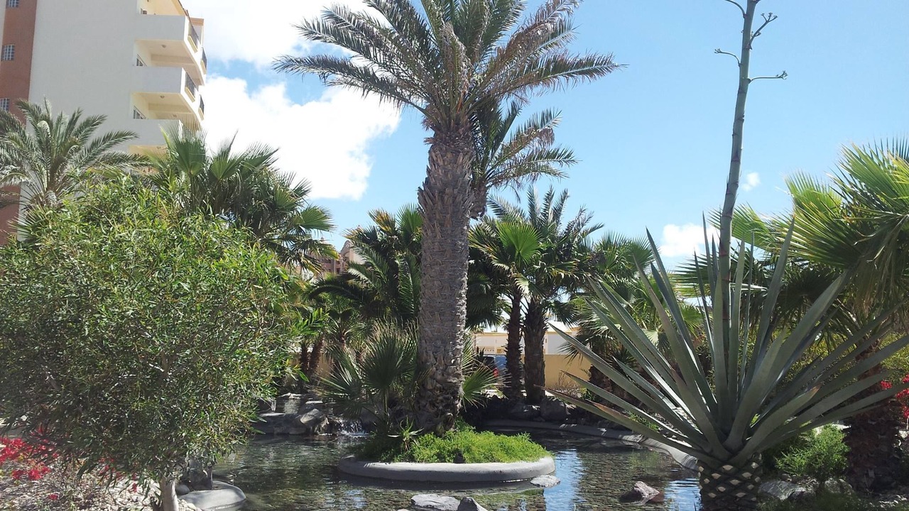 Photo of Outdoor in Puerto Penasco