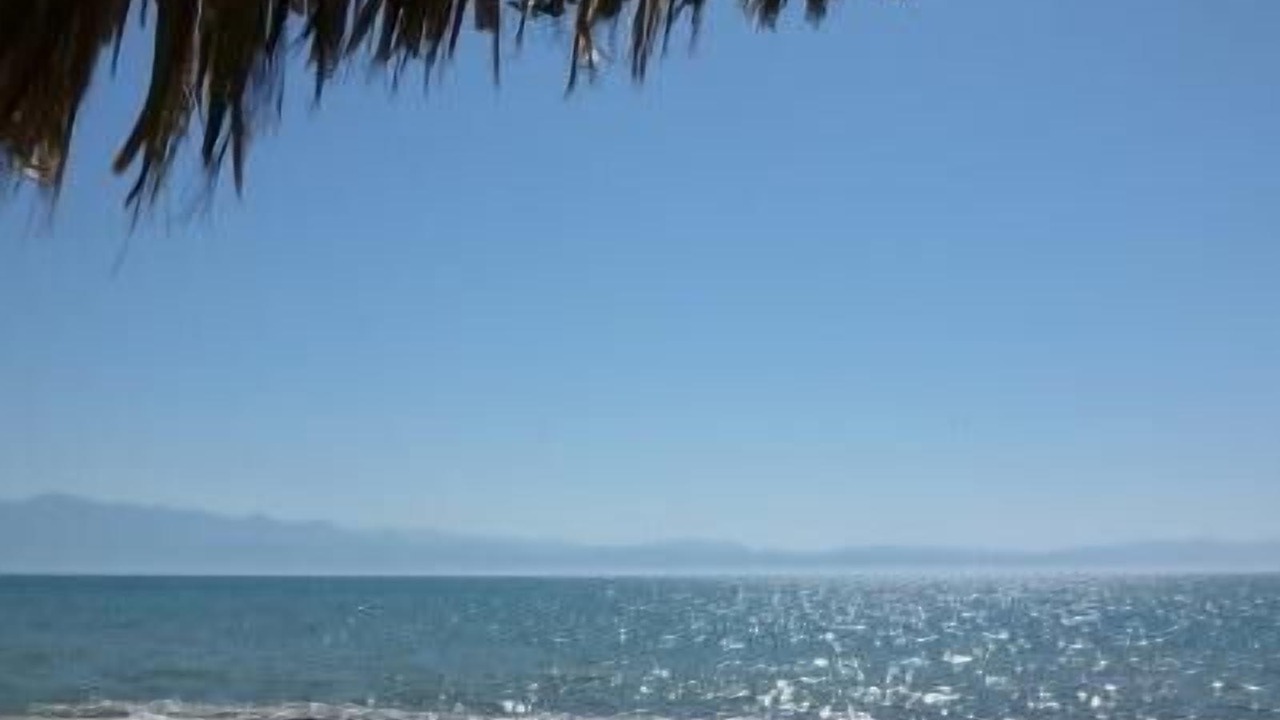 Photo of Others in Bucerias