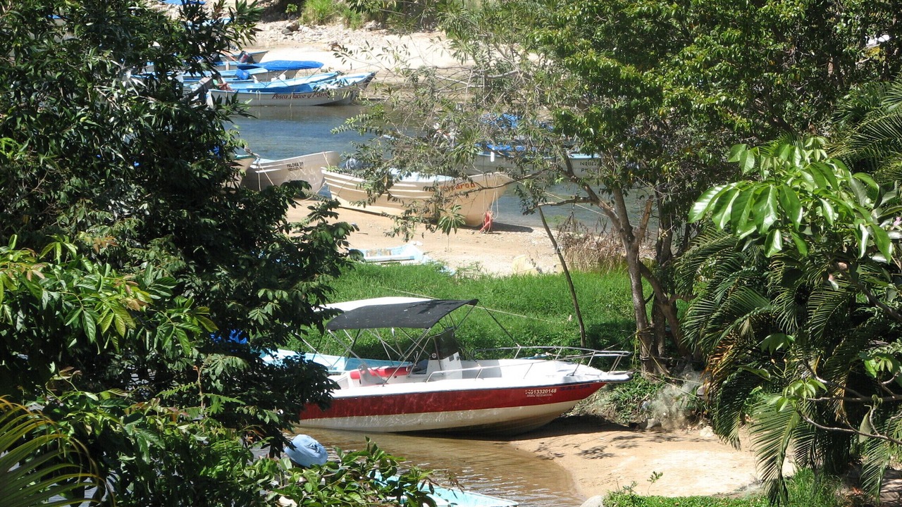 Photo of Outdoor in Boca de Tomatlan