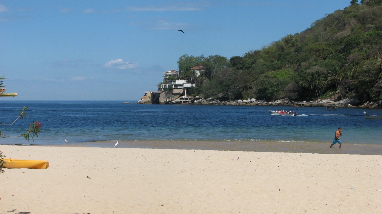 Photo of Others in Boca de Tomatlan