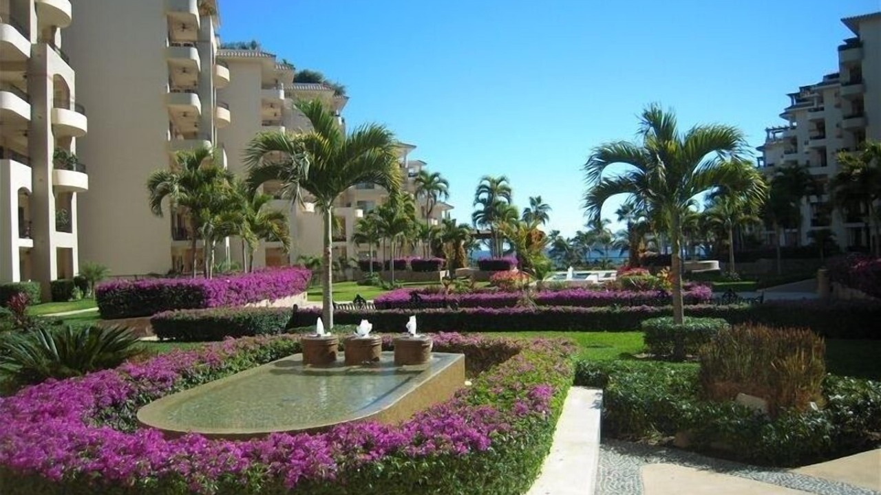 Photo of Others in Los Cabos