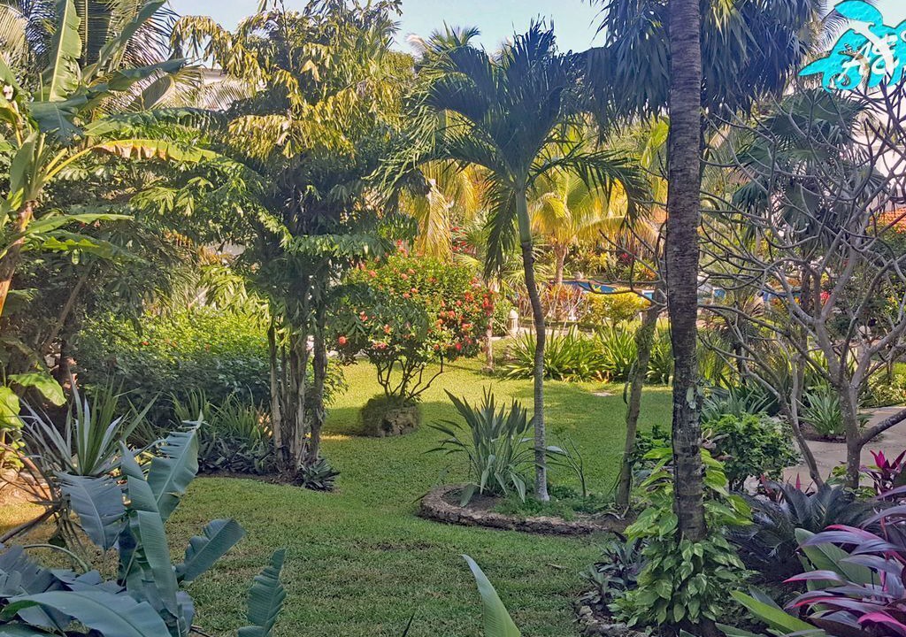 Photo of Others in Akumal