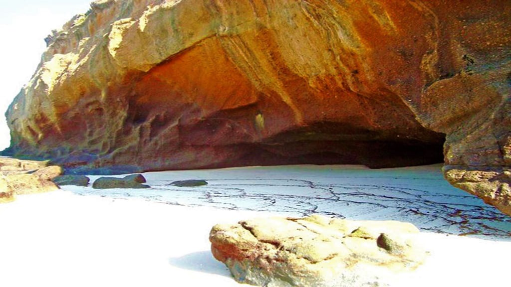 Photo of Others in Punta Negra