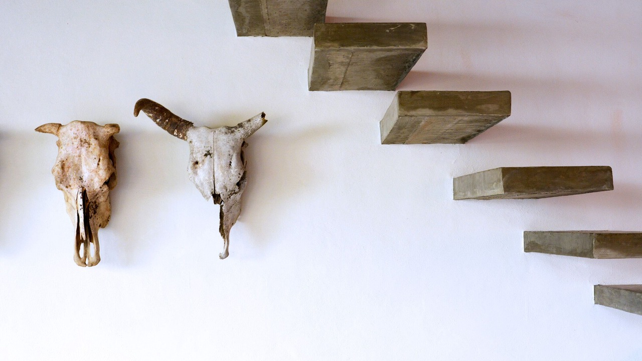 Photo of Others in Sayulita