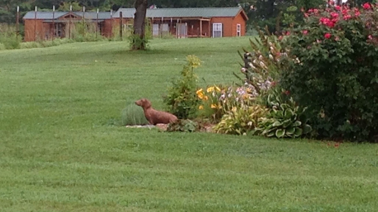 Photo of Others in Byrdstown