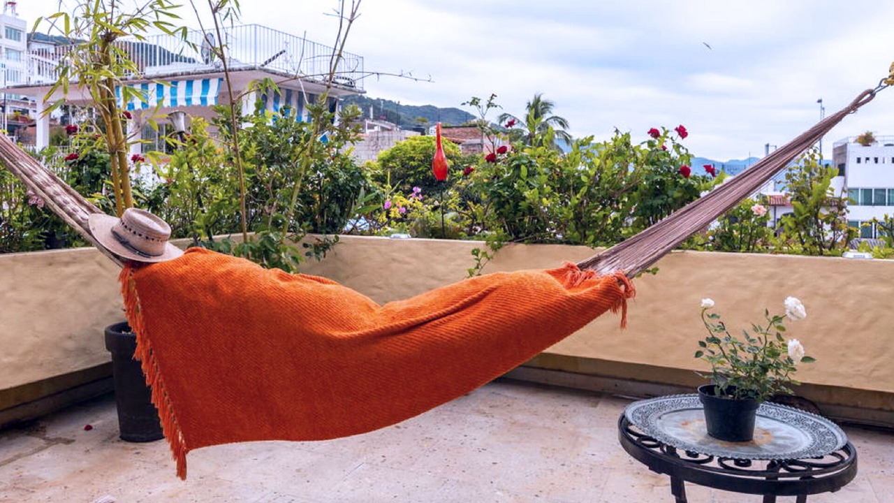 Photo of Outdoor in Downtown Puerto Vallarta