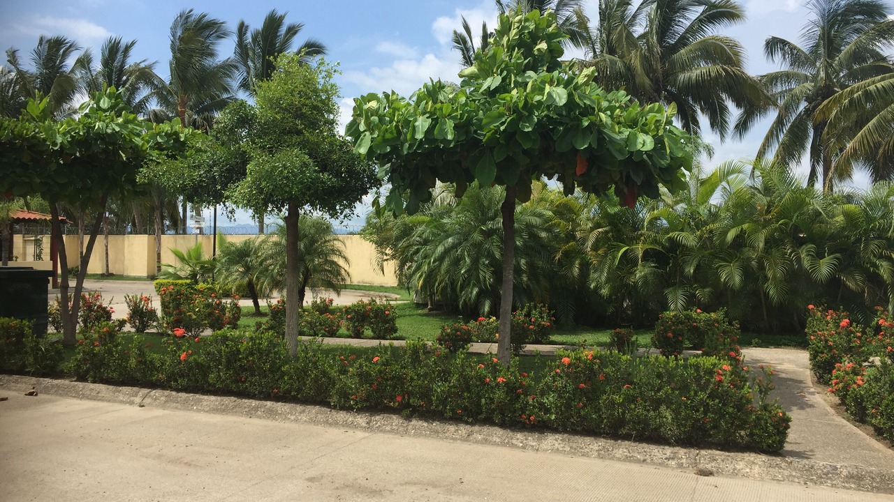 Photo of Outdoor in Nuevo Vallarta