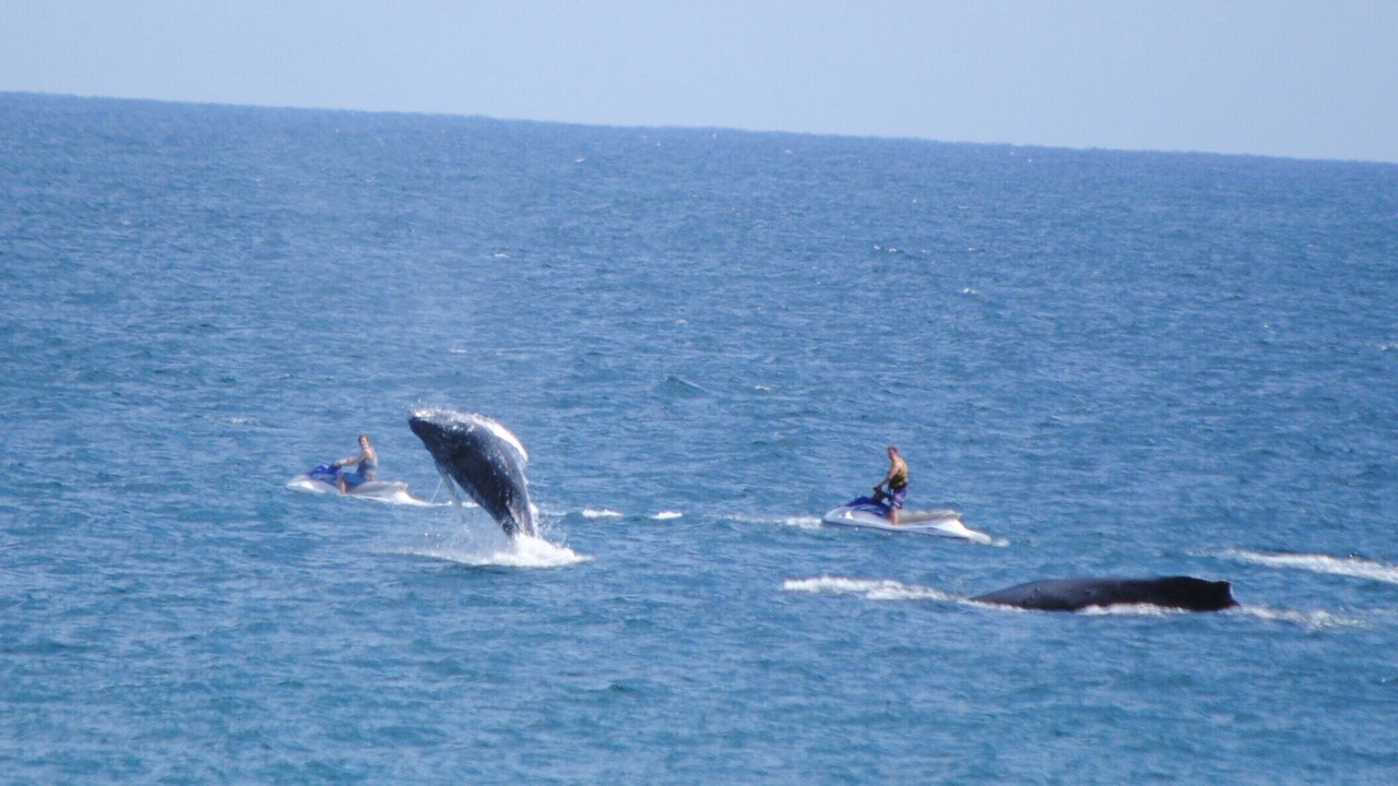 Photo of Others in Marina