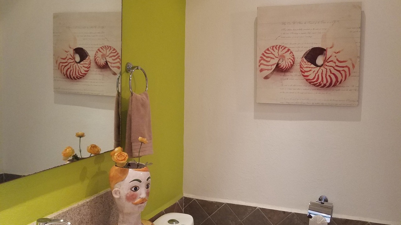 Photo of Bathroom in South Hotel Zone