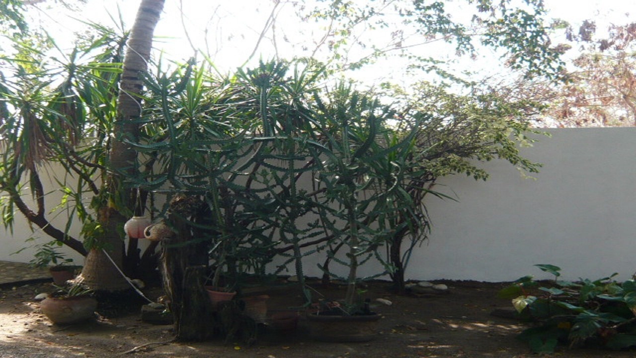 Photo of Outdoor in Emiliano Zapata