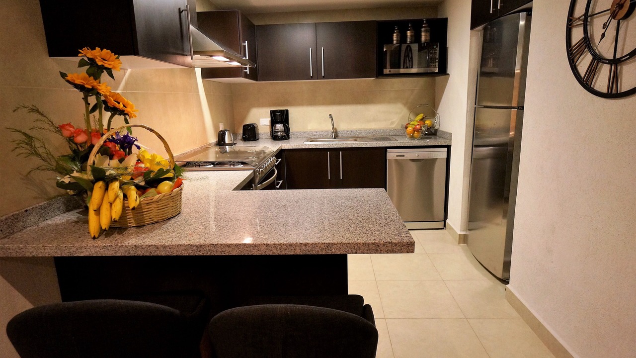 Photo of Kitchen in South Hotel Zone