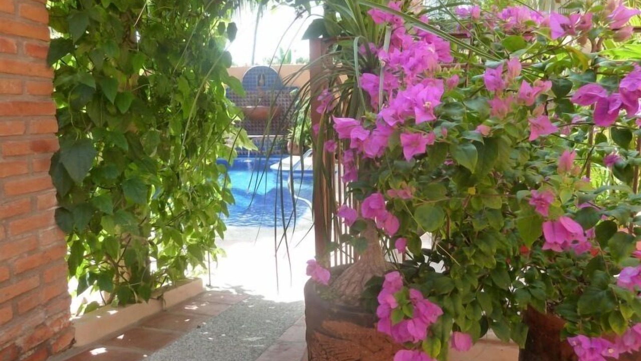 Photo of Outdoor in Bucerias