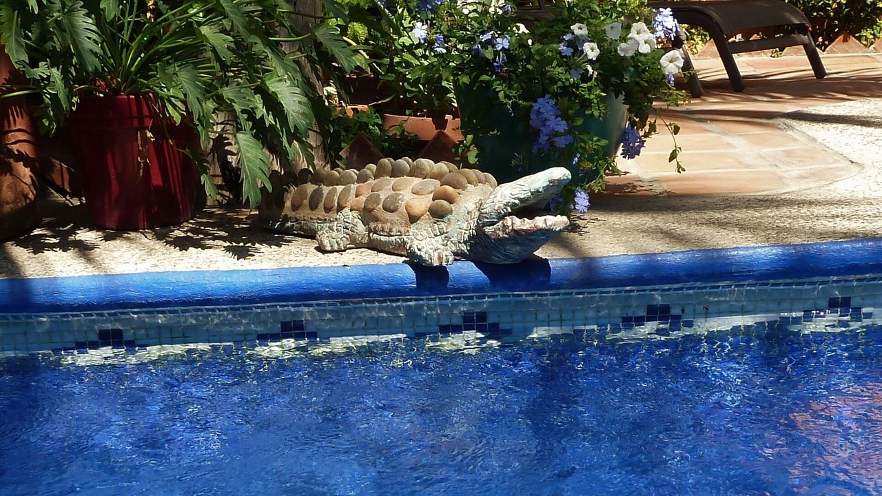Photo of Outdoor in Bucerias