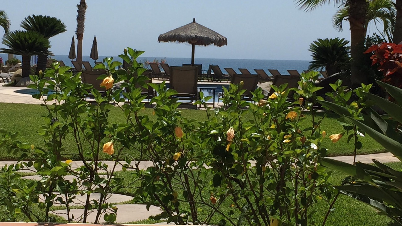Photo of Outdoor in San Jose del Cabo