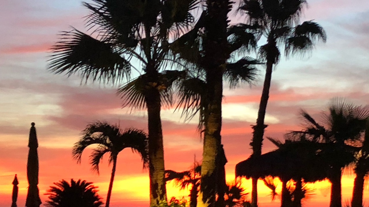 Photo of Others in San Jose del Cabo