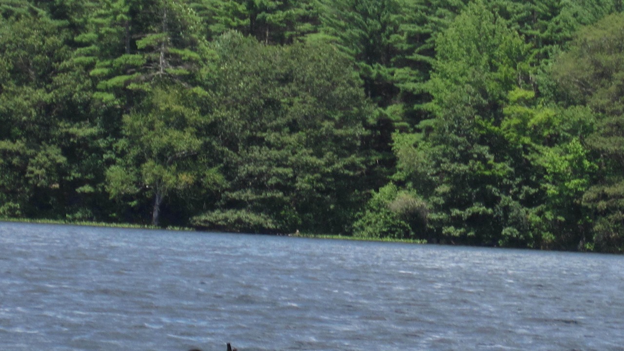 Photo of Others in North Monmouth