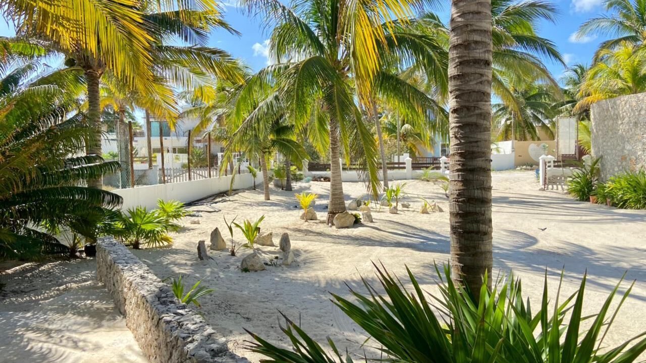 Photo of Outdoor in Chuburna Puerto