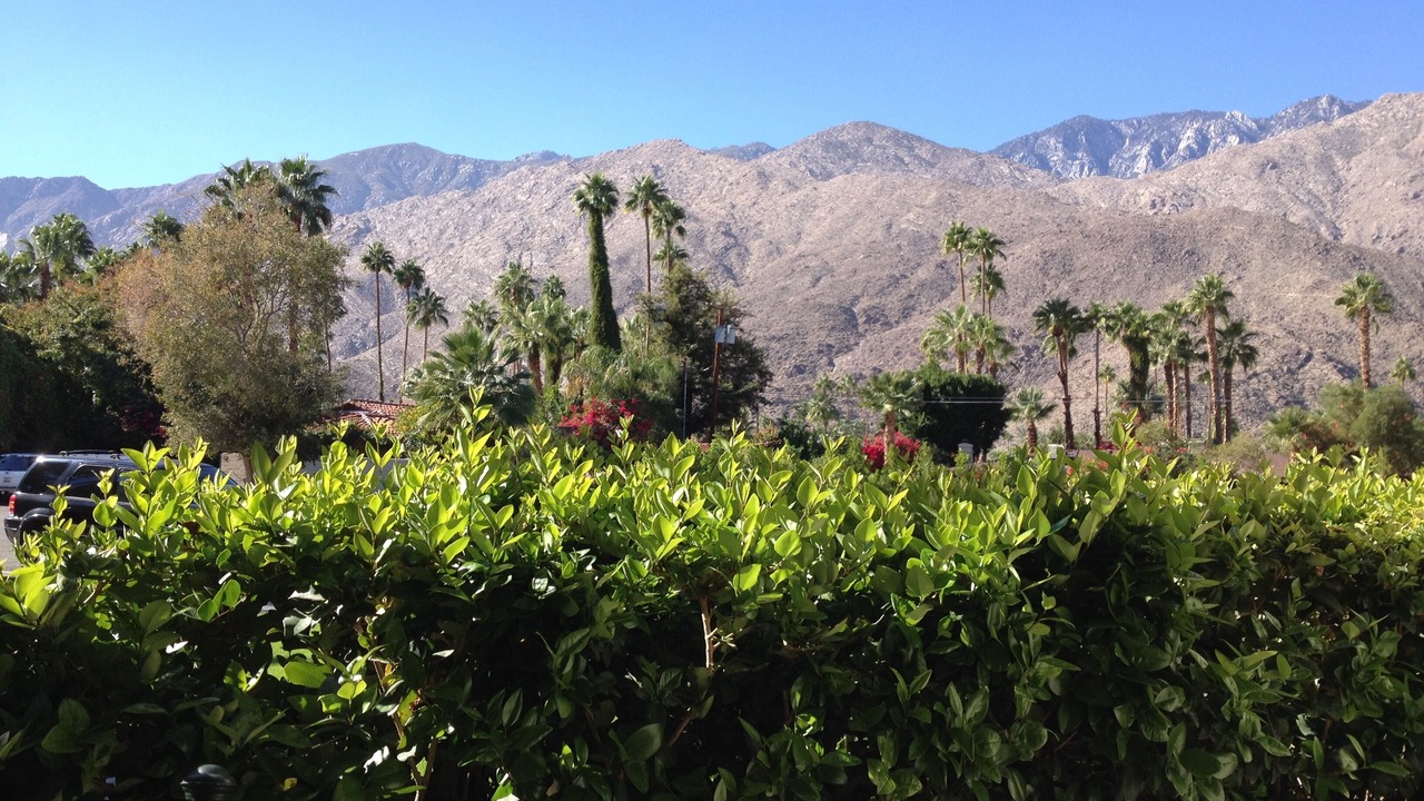 Photo of Others in Palm Springs
