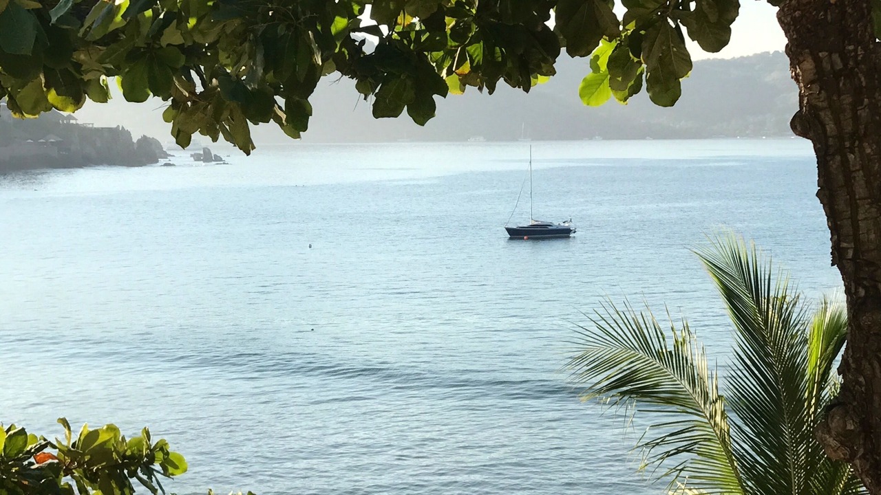 Photo of Others in Playa la Madera