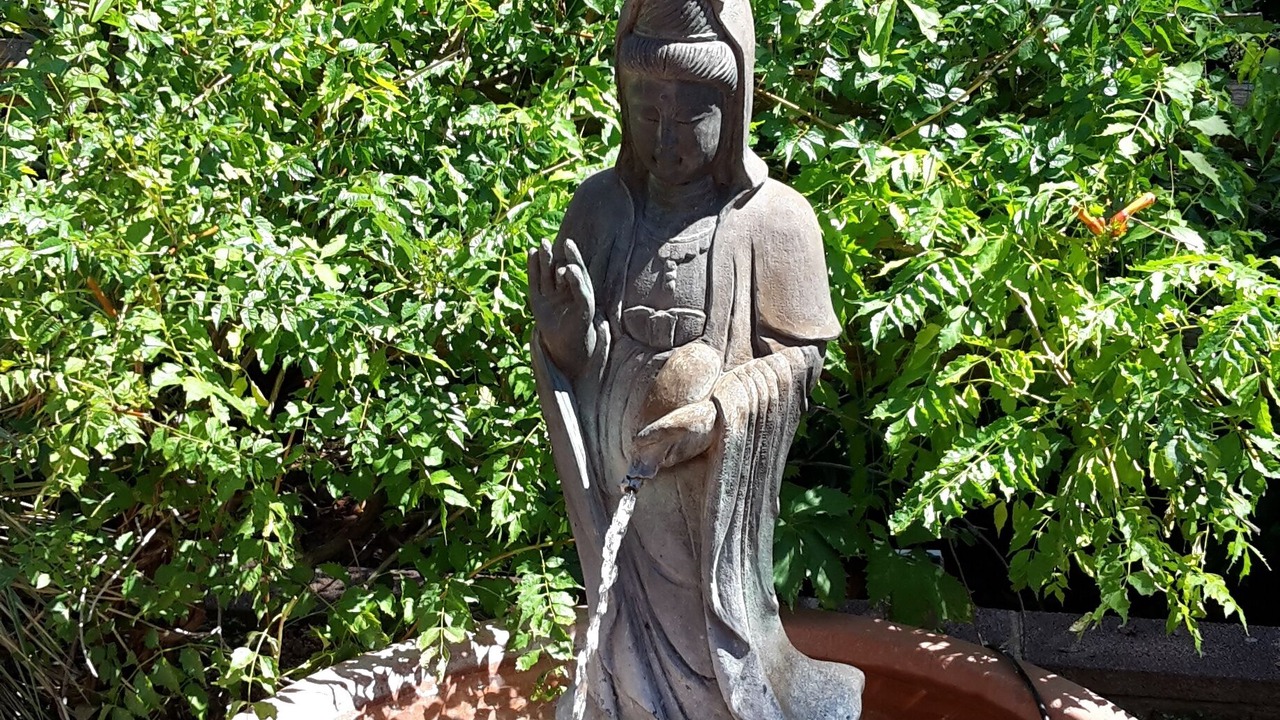 Photo of Outdoor in West Sedona